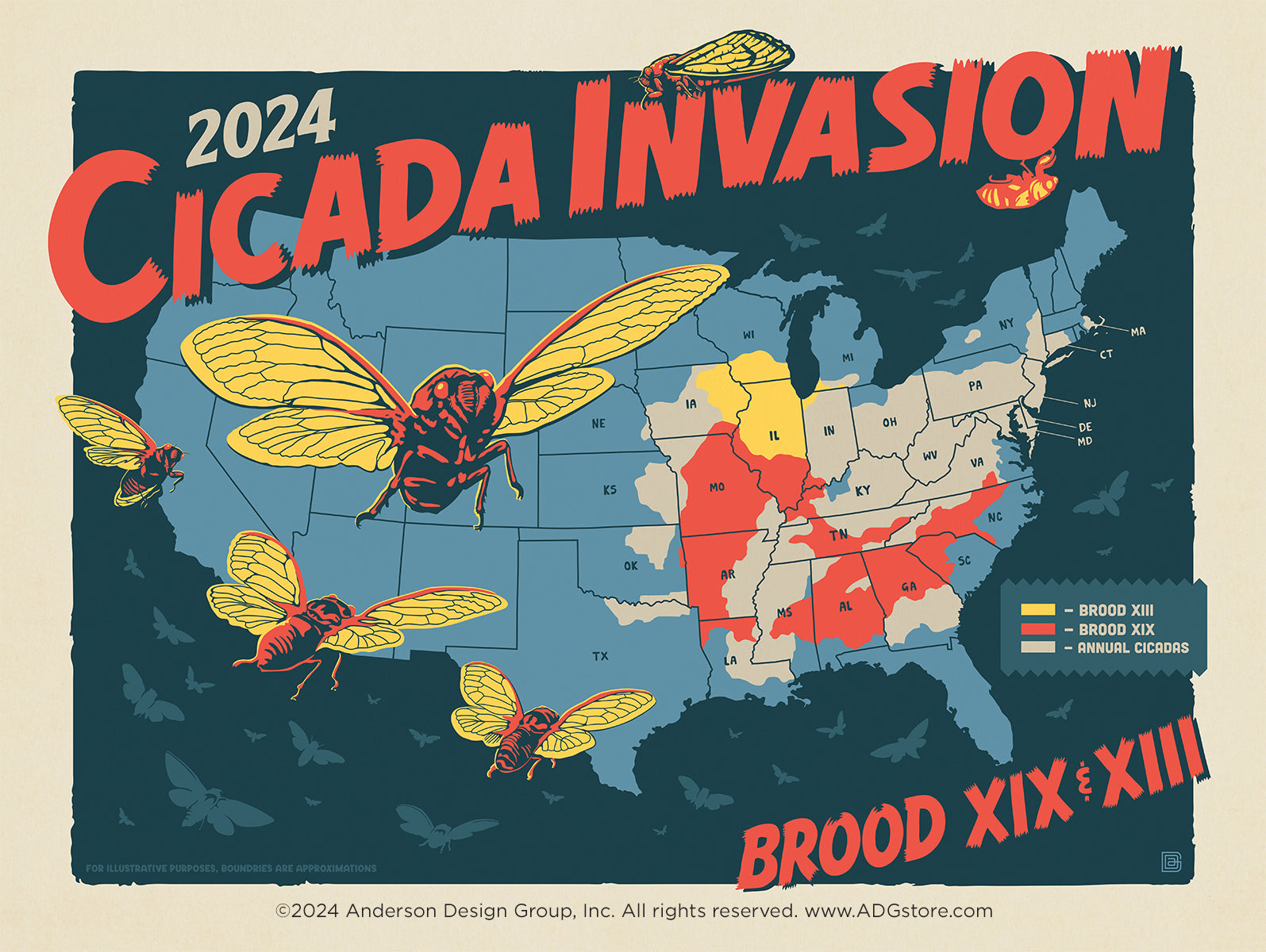 They are Coming… 2024 Cicada Invasion!