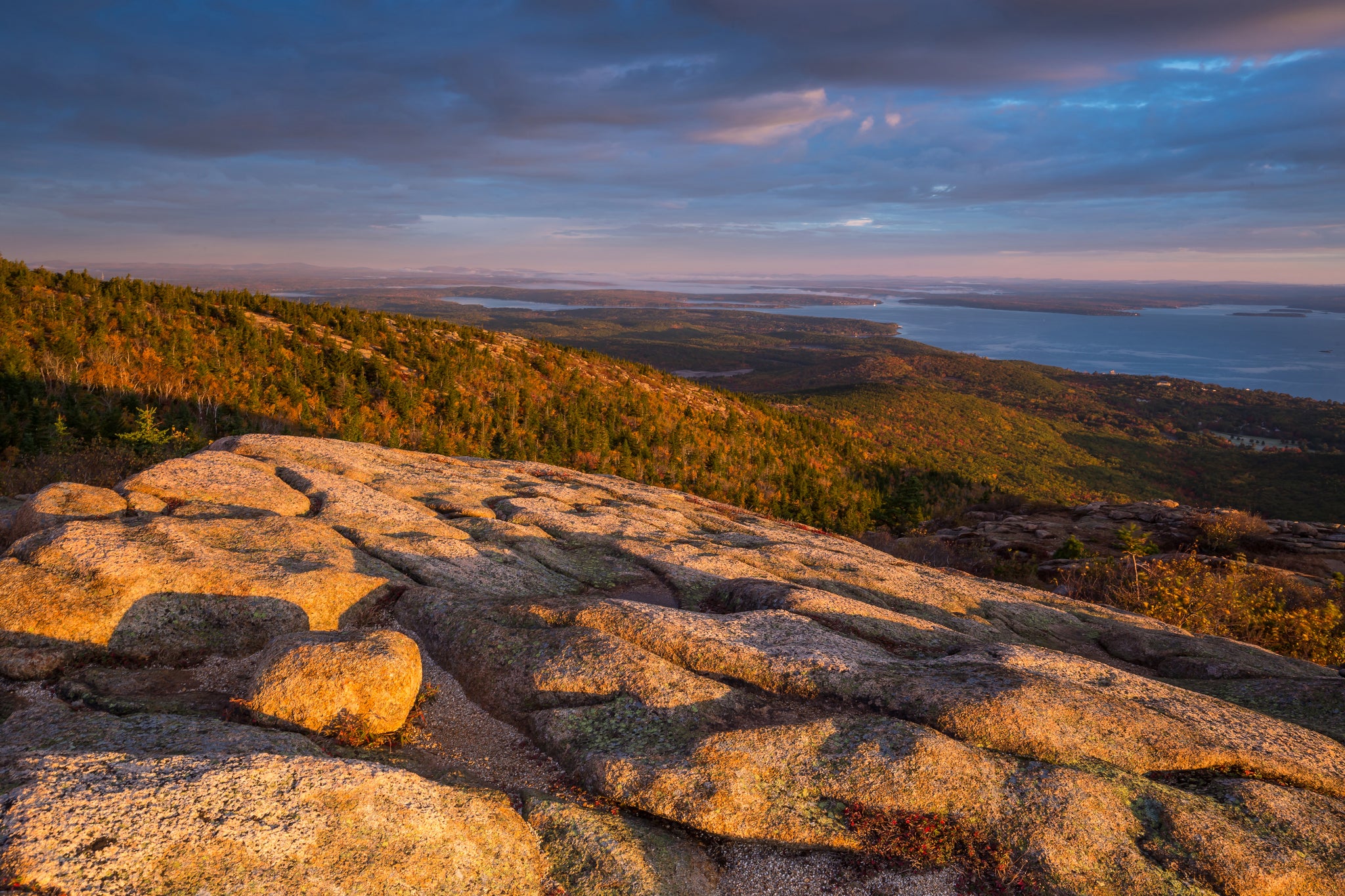 An Atlantic Daydream at Acadia (by Mike Baker)