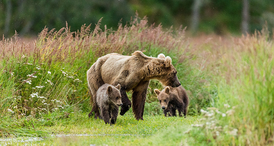 Five of the Most Remote National Parks