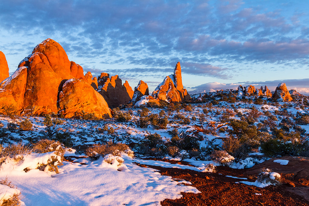 Five National Parks to Visit During Winter/Early Spring