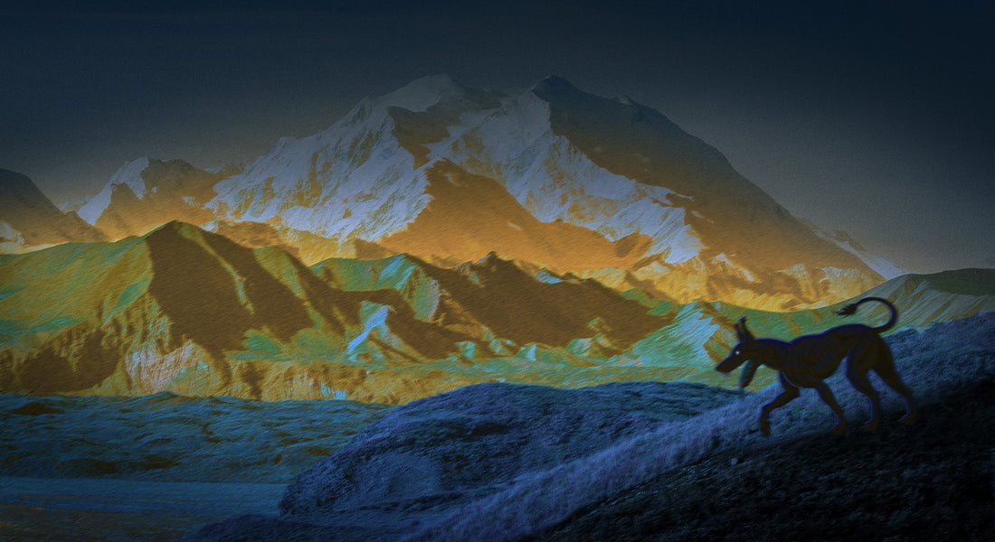 Traveling to a National Park? Be on the Lookout for These Six Spooky Legends!