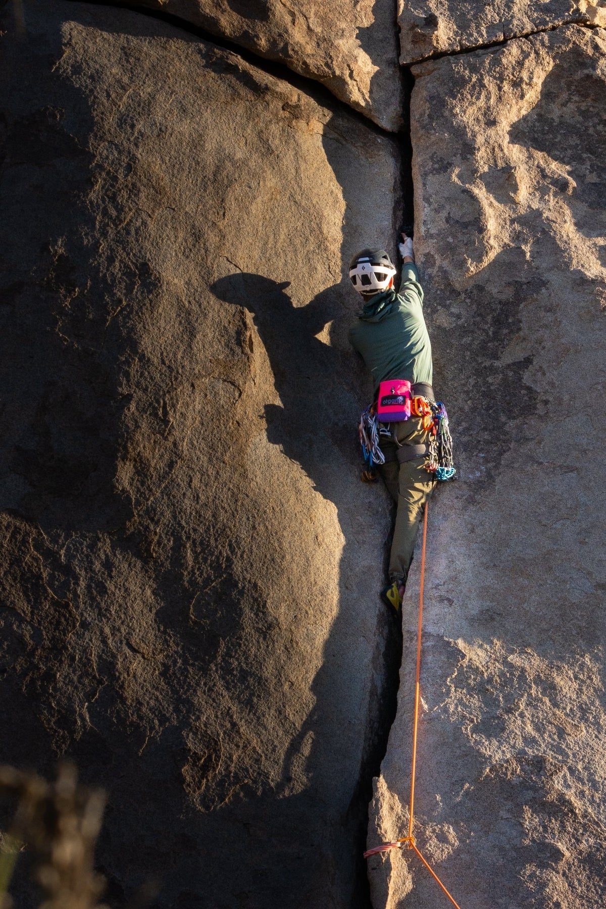 Anderson Design Group Interviews Friends of Joshua Tree!
