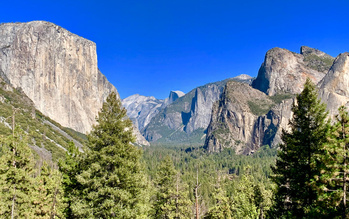 ADG Employees Molly and Ally Explore the National Parks! - Part #4