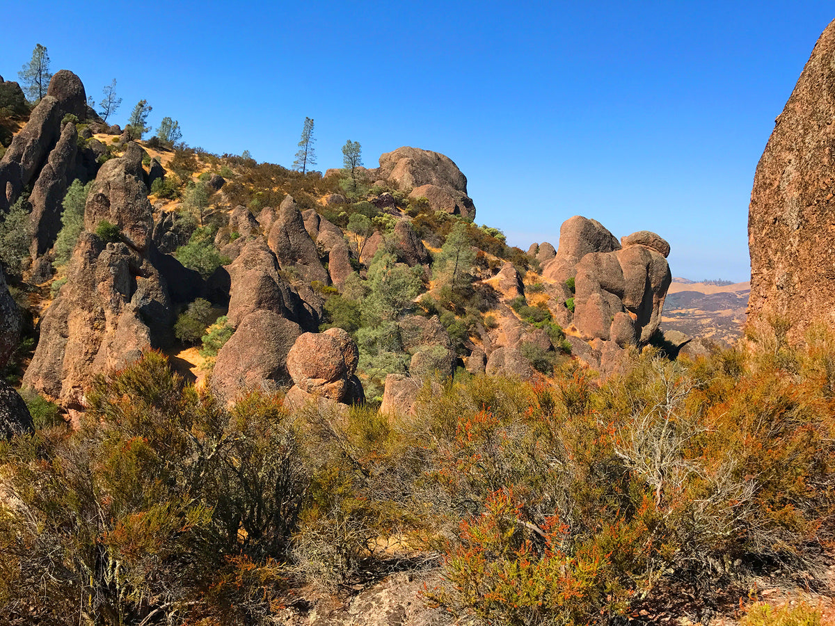 Pinnacles National Park - An Undiscovered Gem
