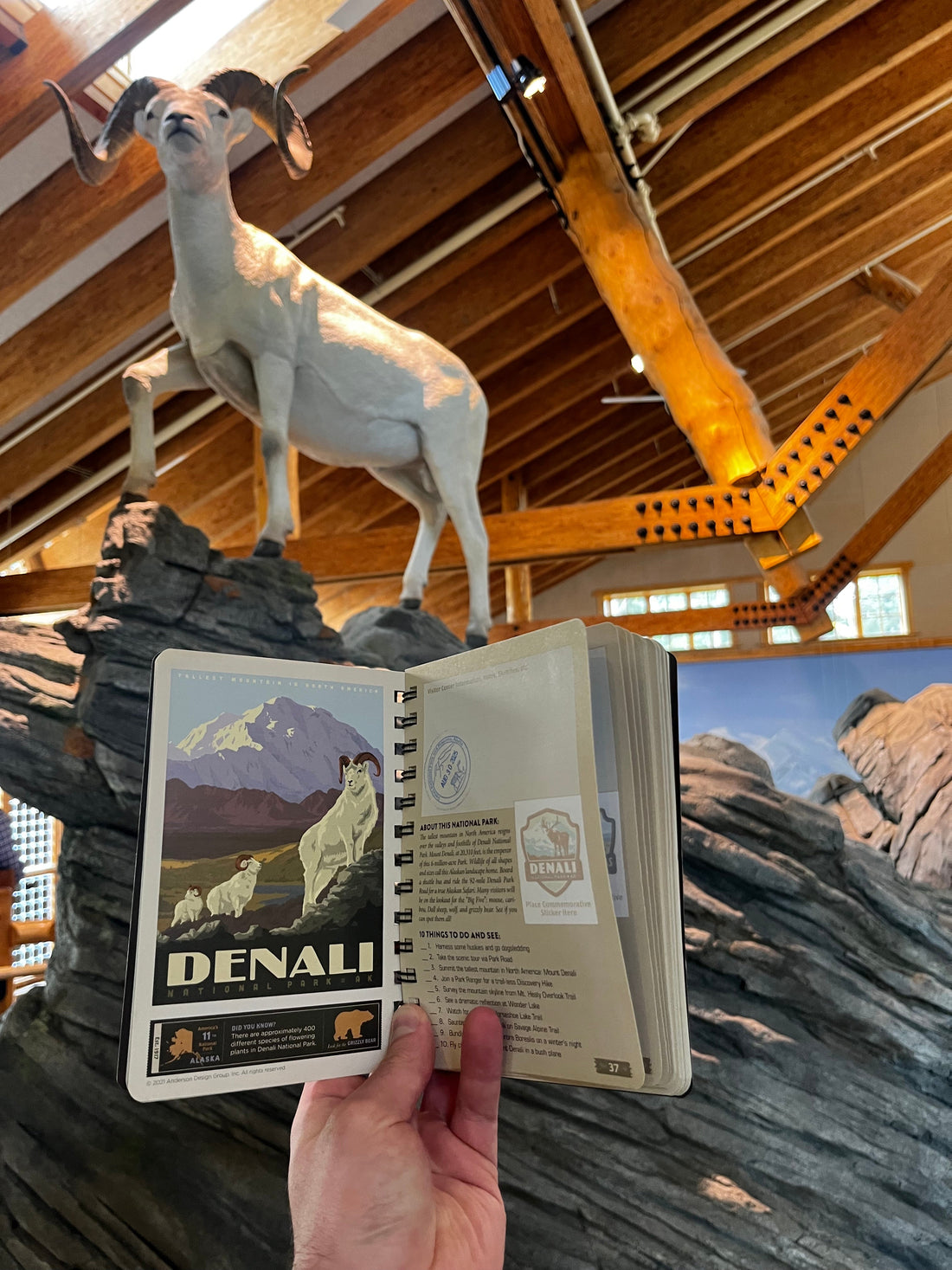 Denali National Park exhibit