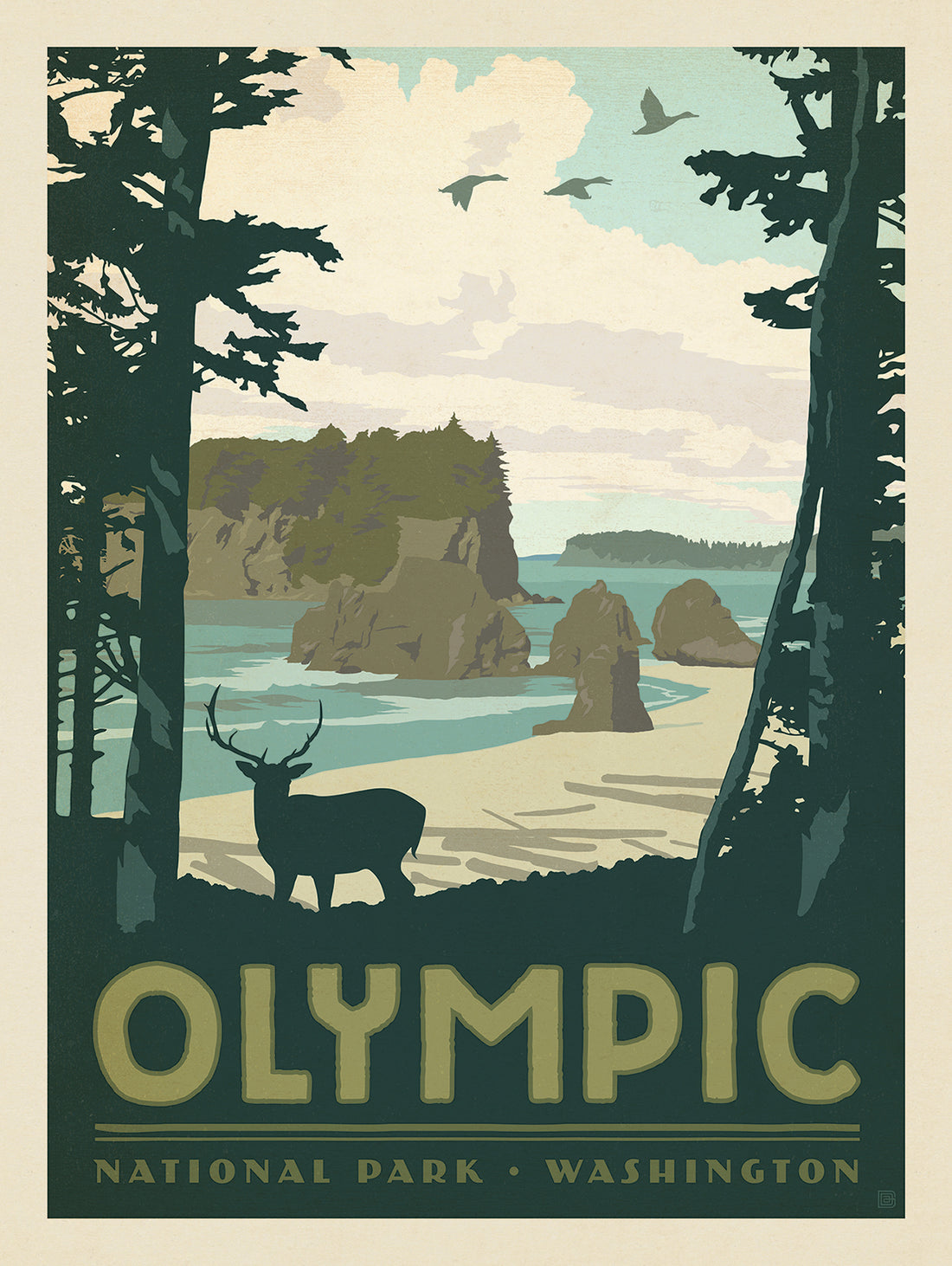 Vivacious Variety in Olympic National Park (by Mike Baker)