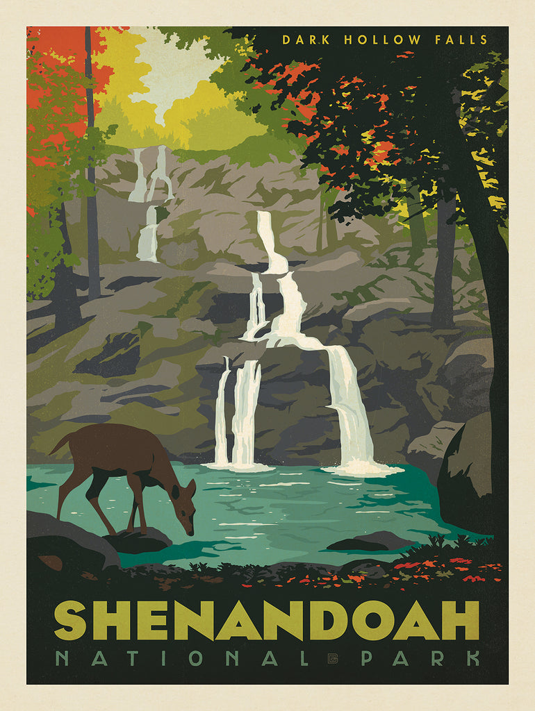 Glory & Gratitude in Shenandoah National Park (by Mike Baker)