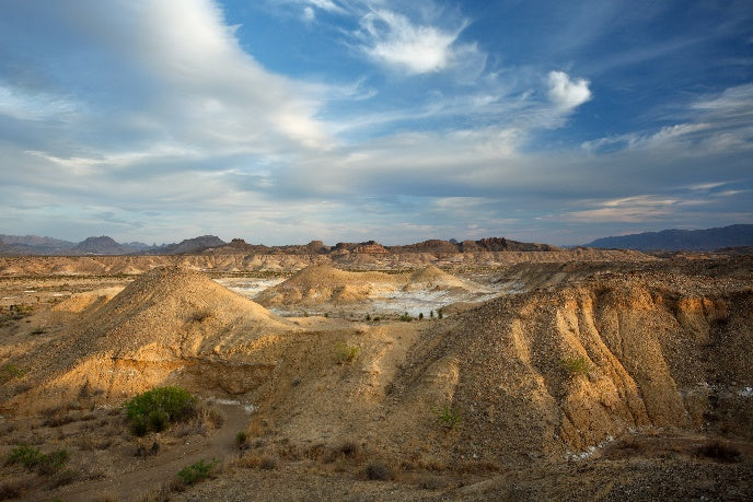 Anderson Design Group Interviews Big Bend Conservancy!