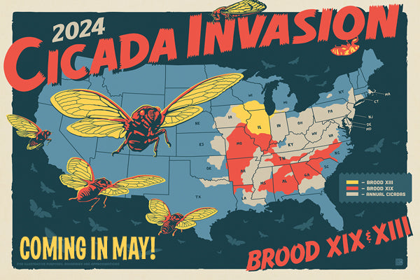 Cicada Invasion! Coming in May! Shop Cicada Collection