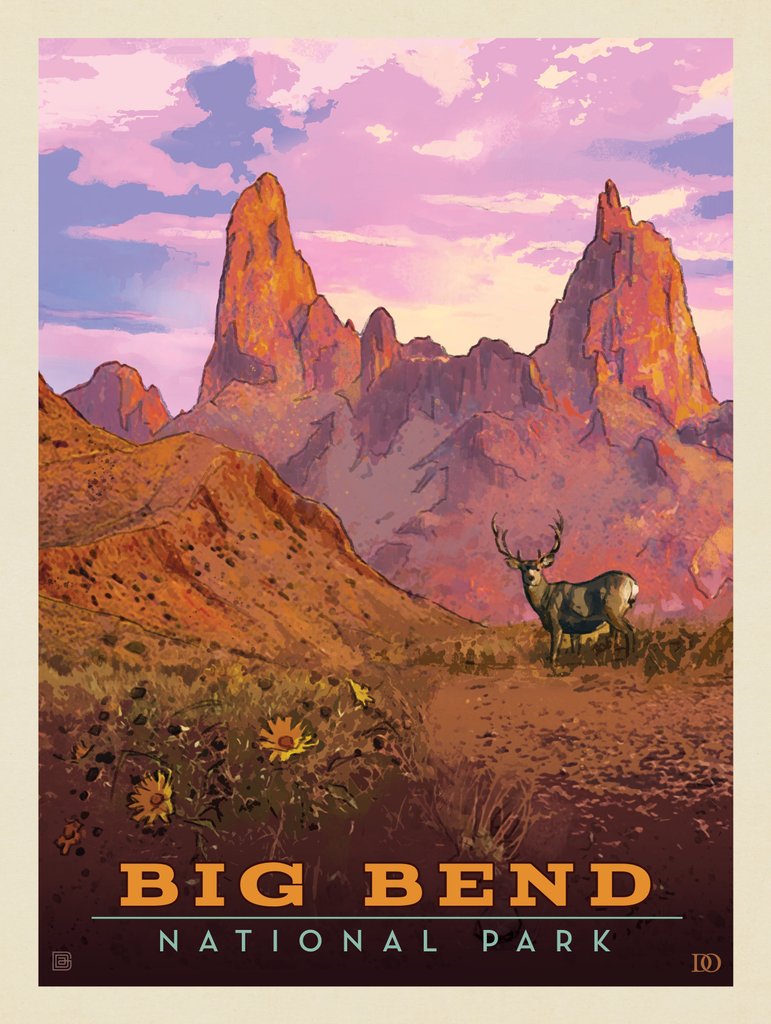 Big Bend National Park: Mule Deer - Canvas - Artwork