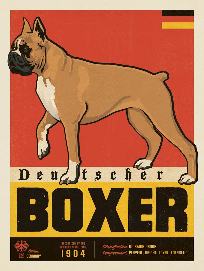 Boxer - Notecards - Artwork