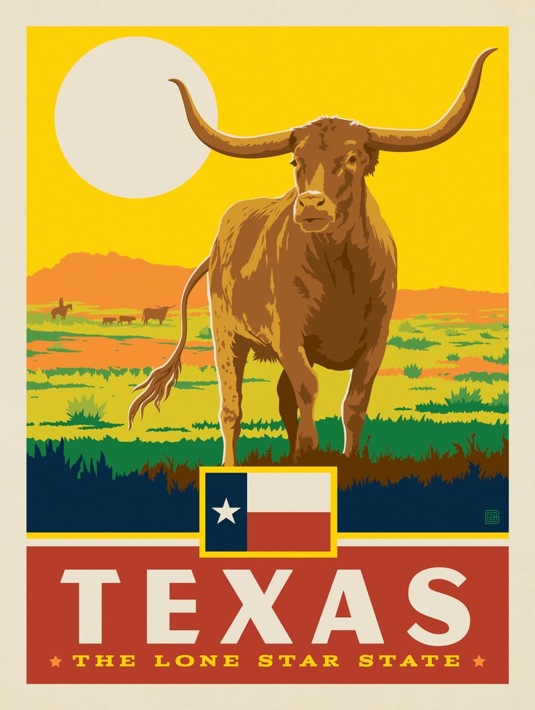 Texas State Pride - Art Print - Artwork