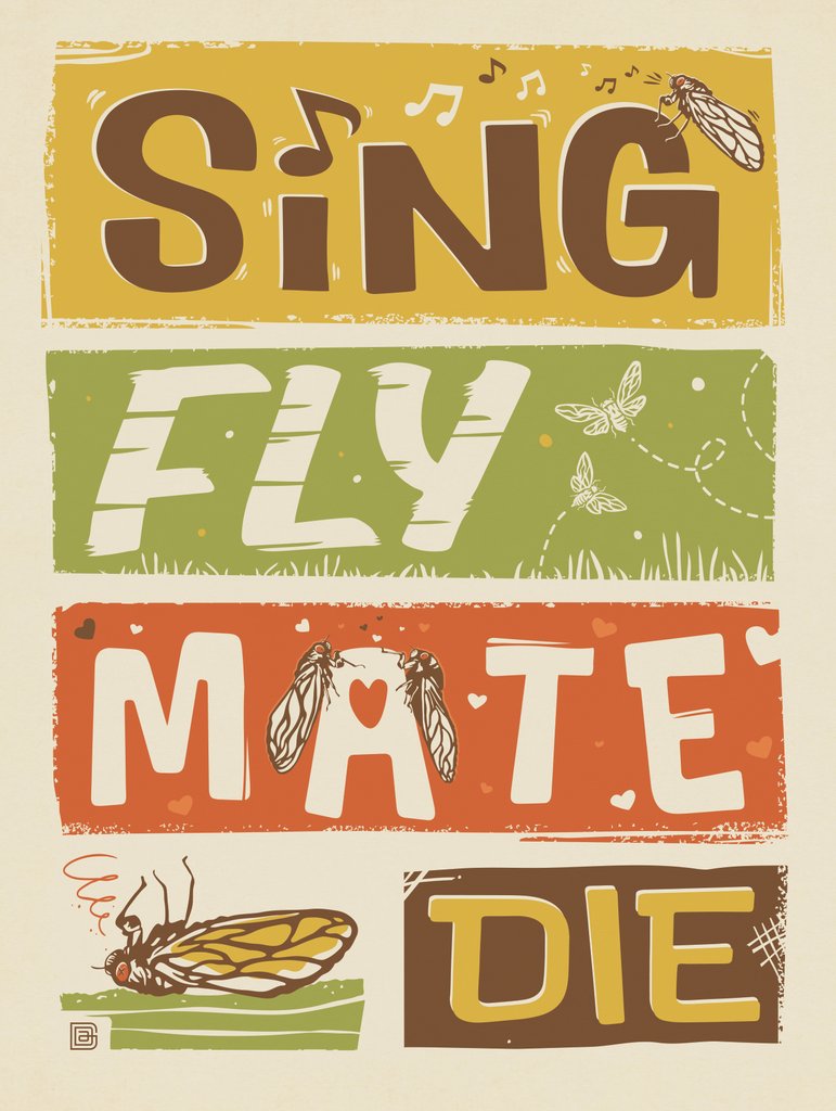 Cicada Invasion: Sing. Fly. Mate. Die. - Notecards - Artwork