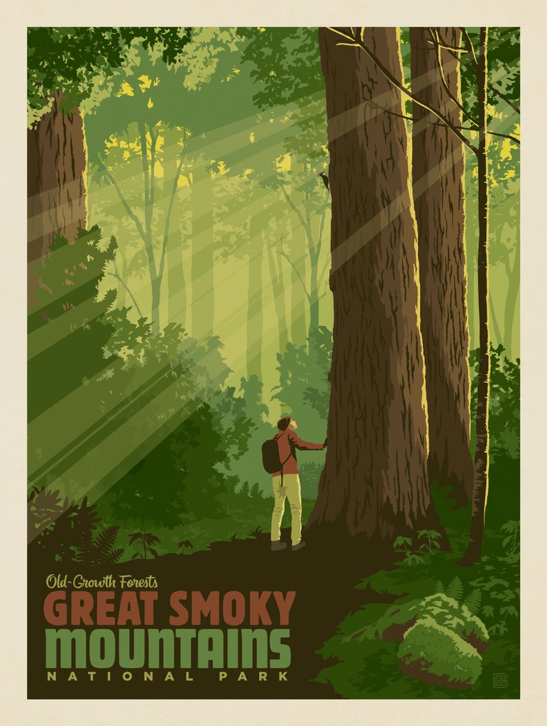 Great Smoky Mountains National Park: Old-Growth Forests - Canvas - Artwork