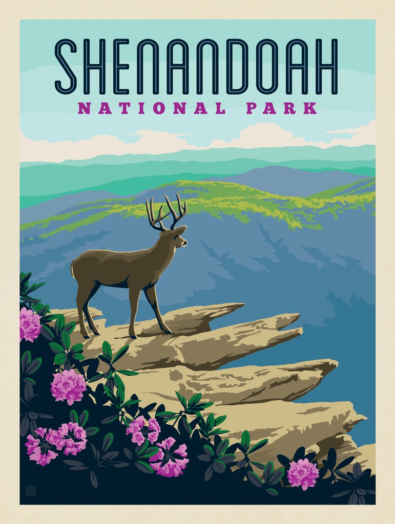 Shenandoah National Park: Hawksbill Mountain - Notecards - Artwork