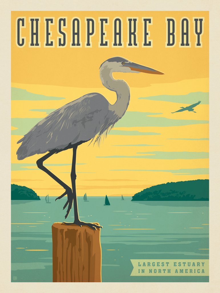 Chesapeake Bay: Heron - Metal Sign - Artwork