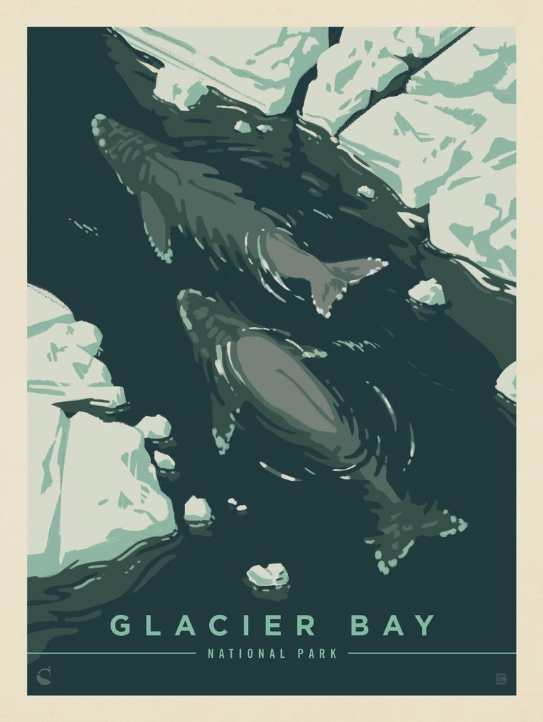 Glacier Bay National Park: Whale Watching - Notecards - Artwork