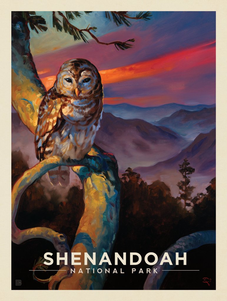 Shenandoah National Park: Barred Owl-KC - Art Print - Artwork