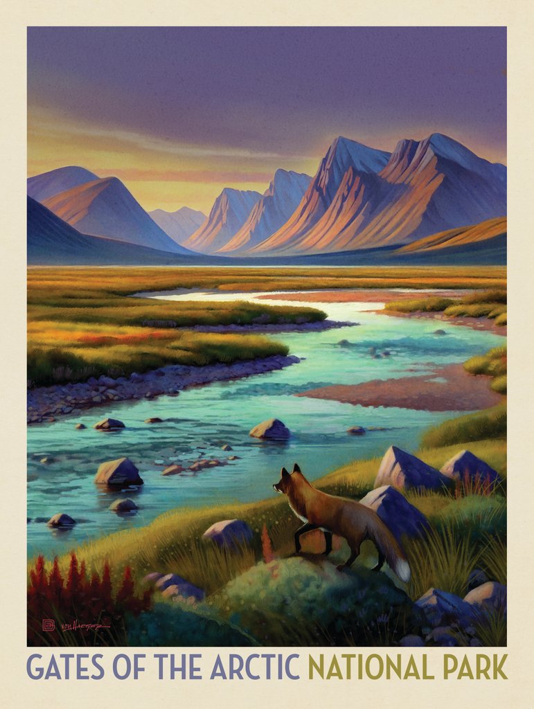 Gates Of The Arctic National Park: Twilight Fox - Postcards - Artwork