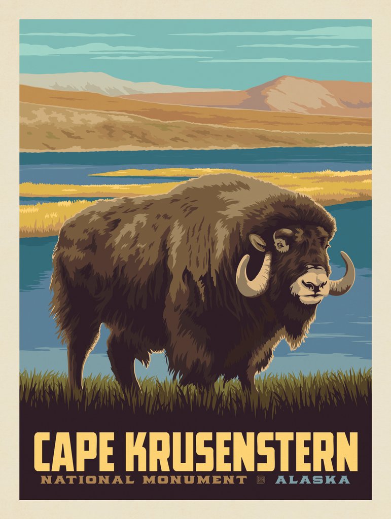 Cape Krusenstern National Monument, Alaska - Canvas - Artwork