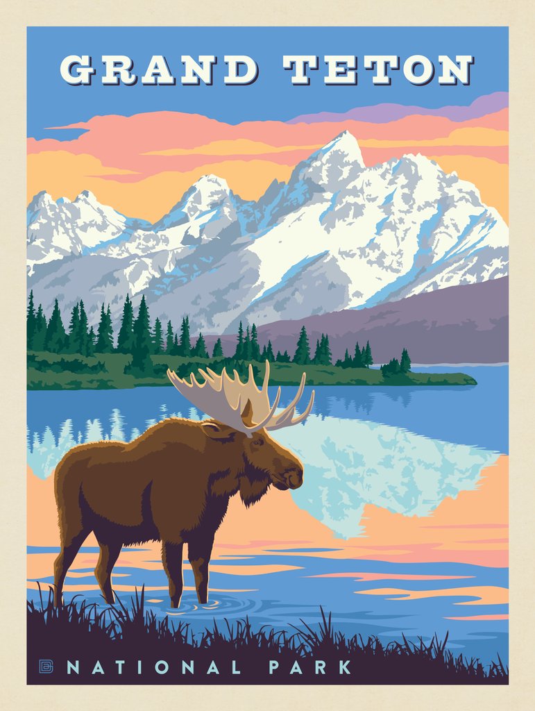 Grand Teton National Park: Bull Moose - Postcards - Artwork