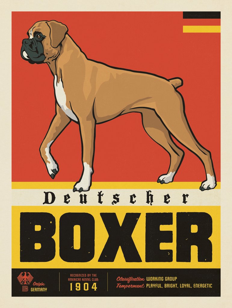 Middle Tennessee Boxer Rescue Fundraiser Print #3 - Notecards - Artwork