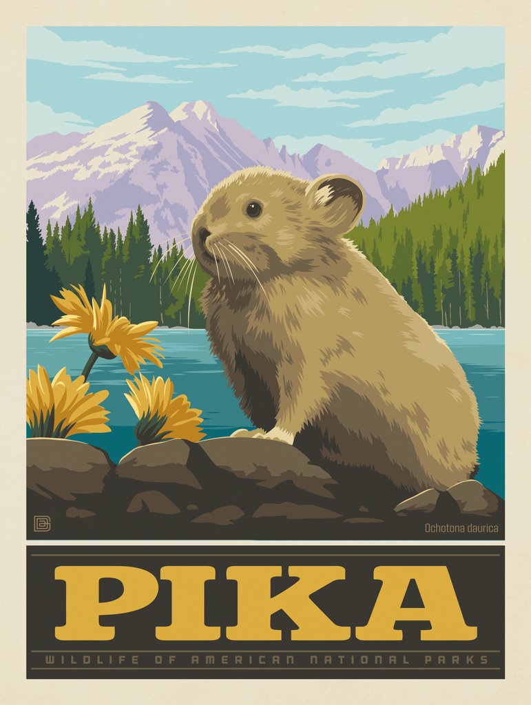 National Parks Wildlife: Pika - Art Print - Artwork