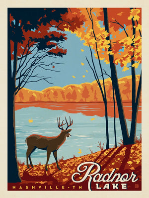 Radnor Lake: Fall View