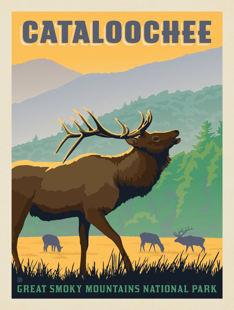 Great Smoky Mountains National Park: Cataloochee Elk - Notecards - Artwork