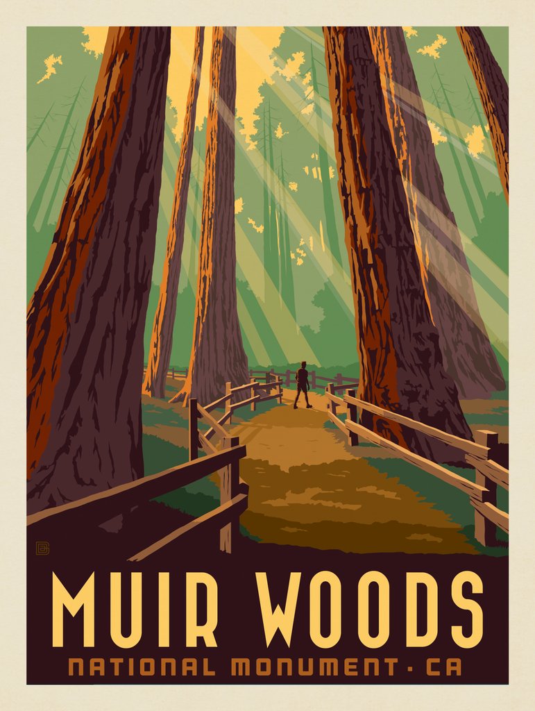 Muir Woods National Monument, California - Metal Sign - Artwork