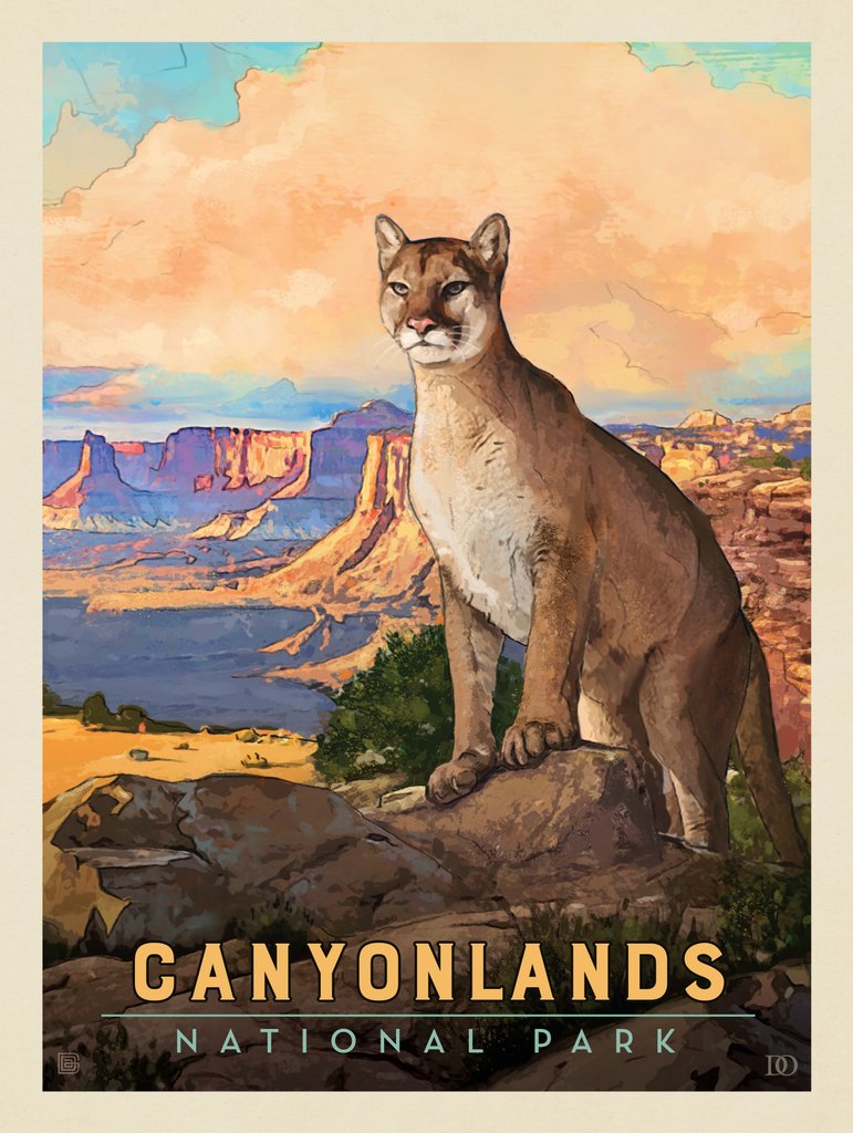 Canyonlands National Park: Cougar - Postcards - Artwork