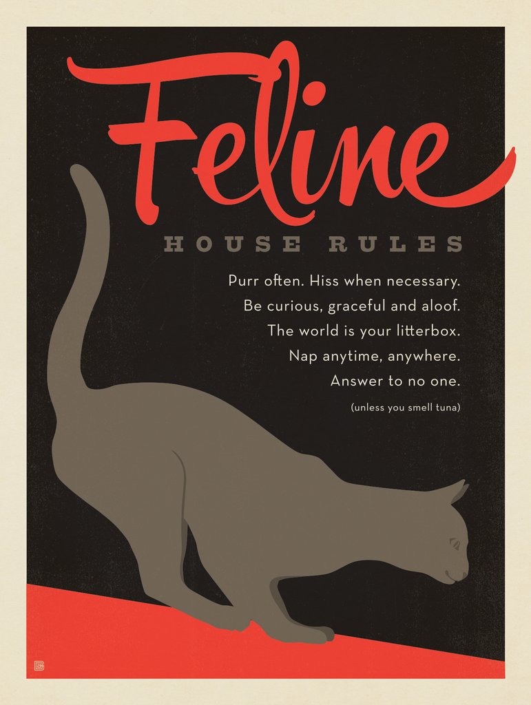 Feline House Rules - Metal Sign - Artwork