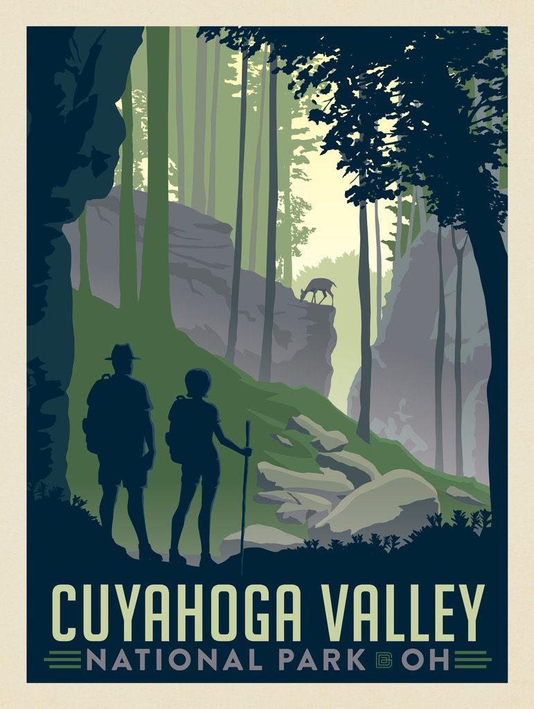 Cuyahoga Valley National Park: Deer - Notecards - Artwork