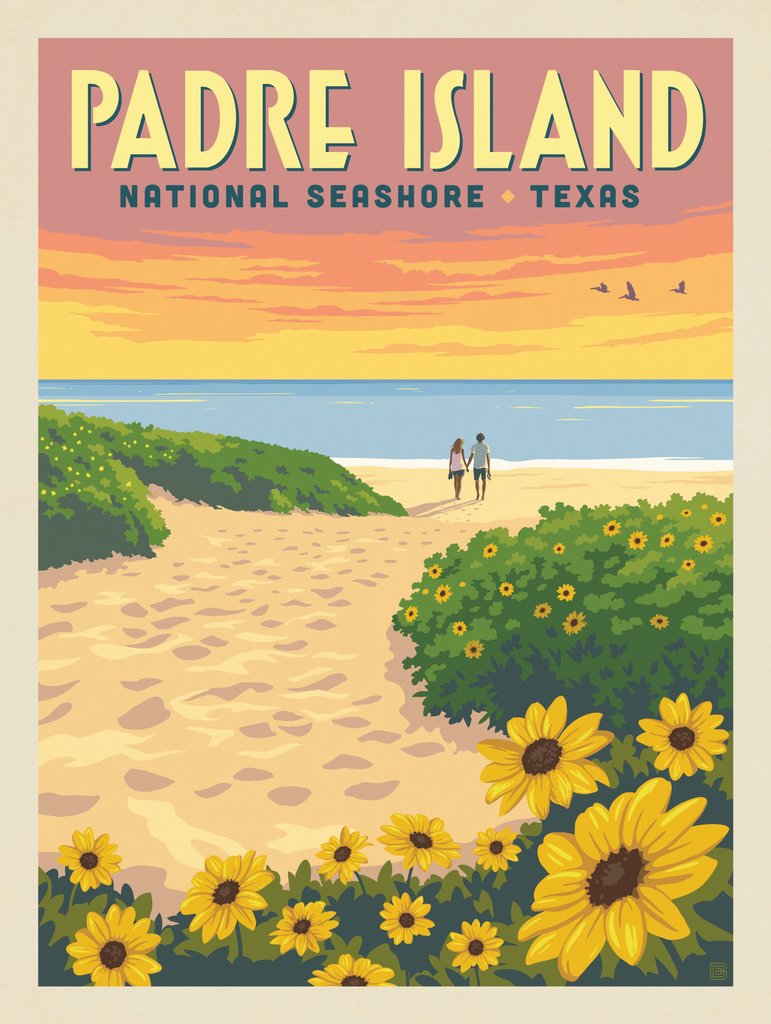Padre Island National Seashore: Texas Goldentop Flowers - Metal Sign - Artwork