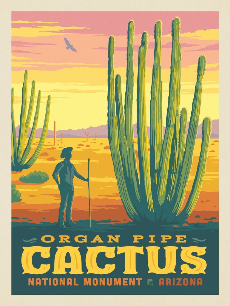 Organ Pipe Cactus National Monument, Arizona - Postcards - Artwork