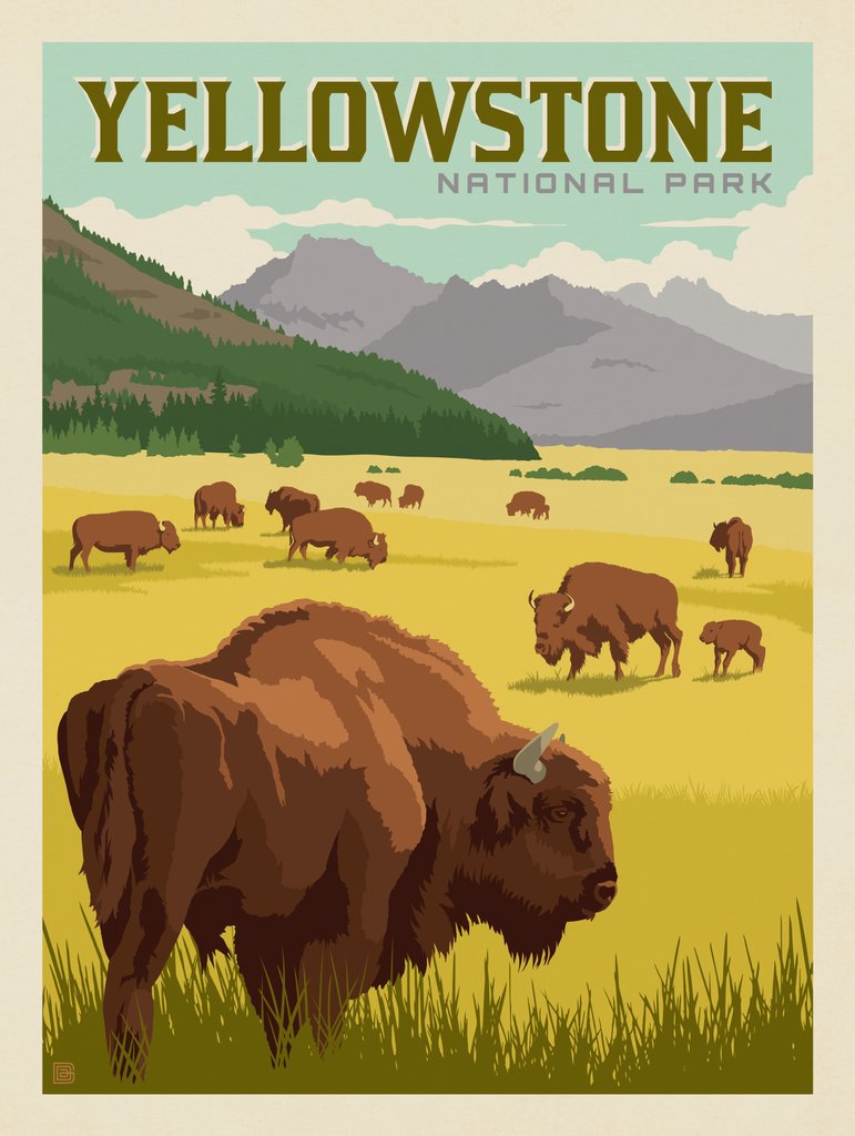 Yellowstone National Park: Bison Herd - Notecards - Artwork