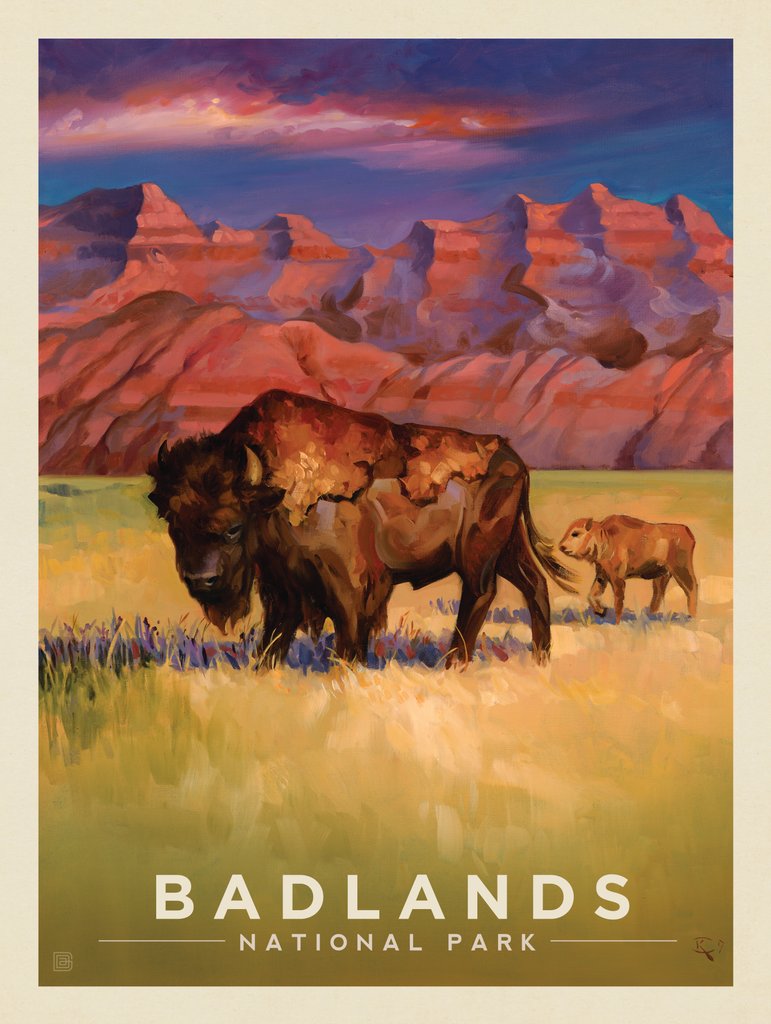 Badlands National Park: Bison-KC - Canvas - Artwork