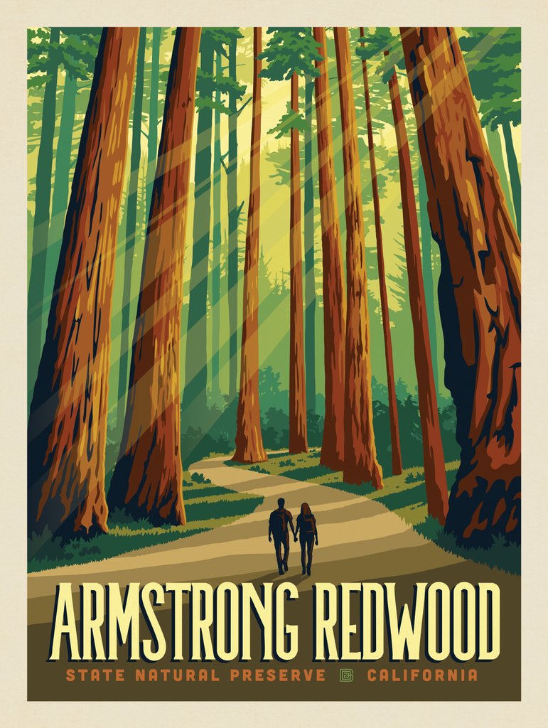 Armstrong Redwoods State Natural Reserve, CA - Art Print - Artwork