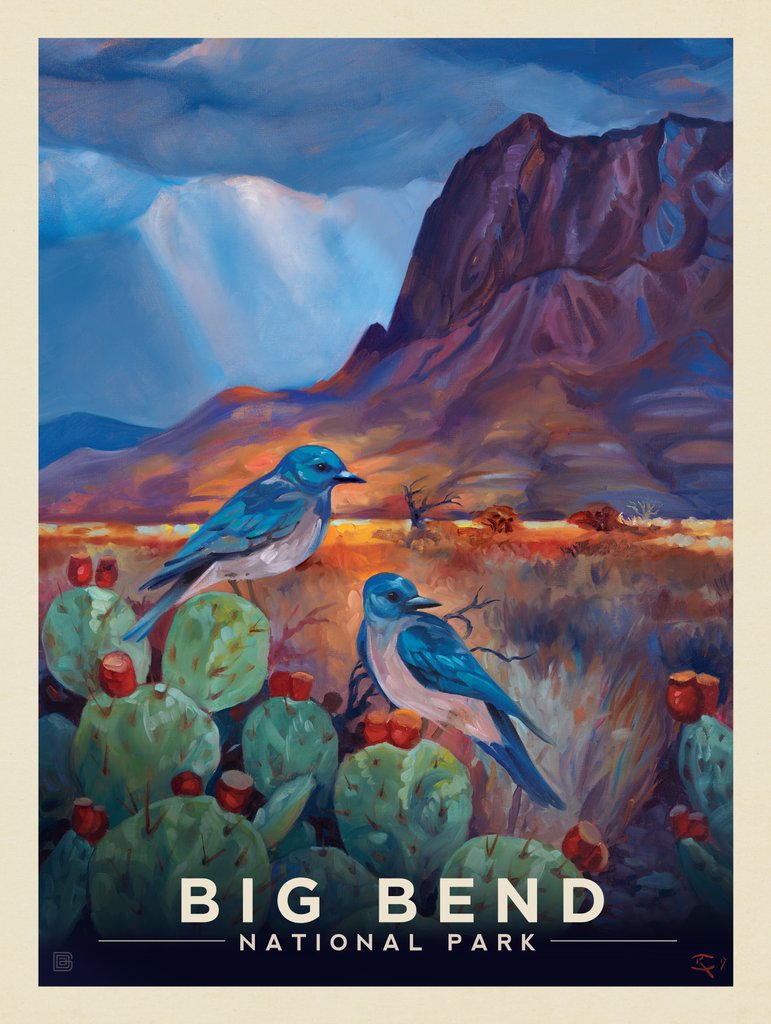 Big Bend National Park: Desert Perch-KC - Notecards - Artwork