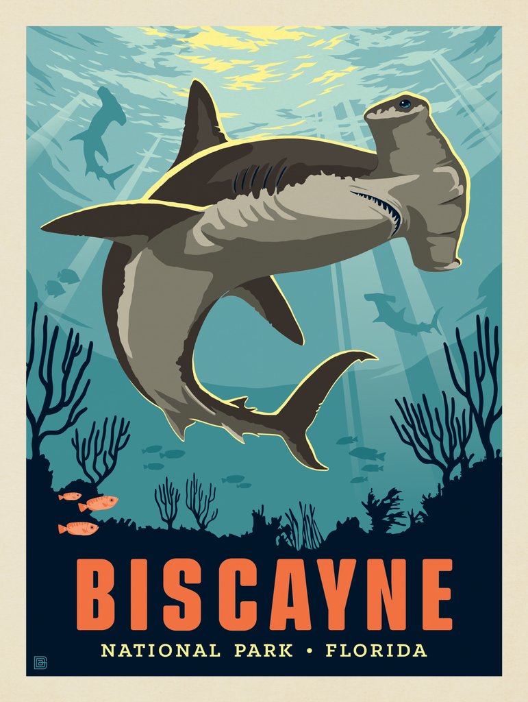 Biscayne National Park: Hammerhead Shark - Metal Sign - Artwork