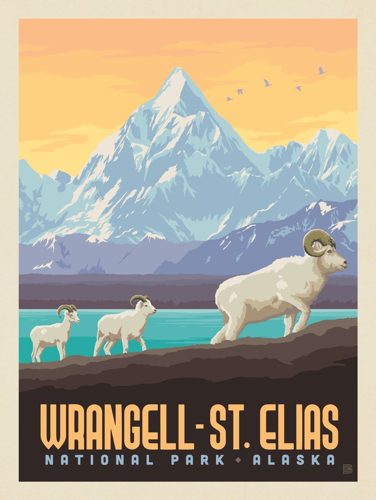 Wrangell-St. Elias National Park: Dall Sheep - Canvas - Artwork