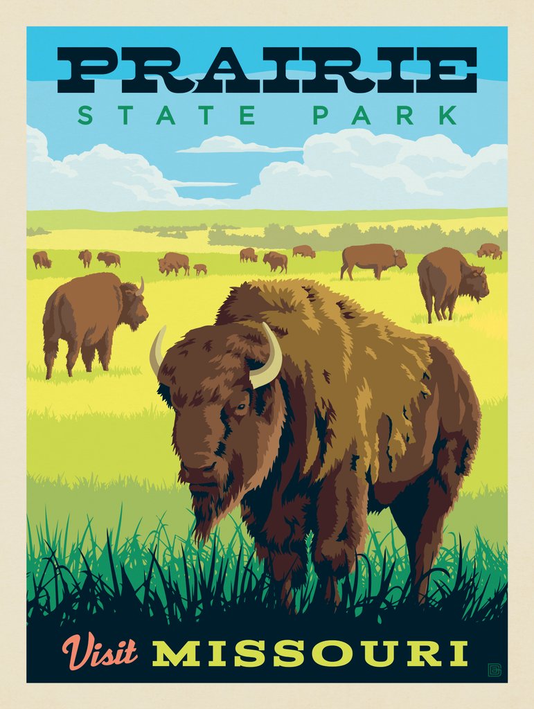 MO—Visit Missouri: Prairie State Park - Canvas - Artwork