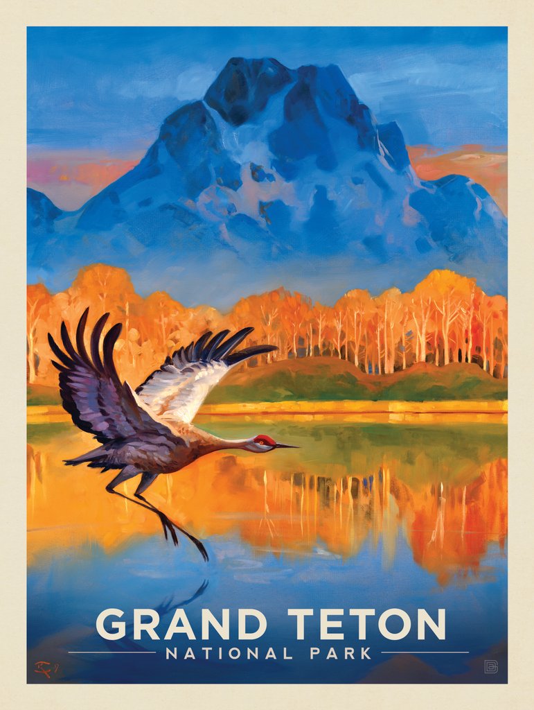 Grand Teton National Park: Sand Hill Crane - Notecards - Artwork