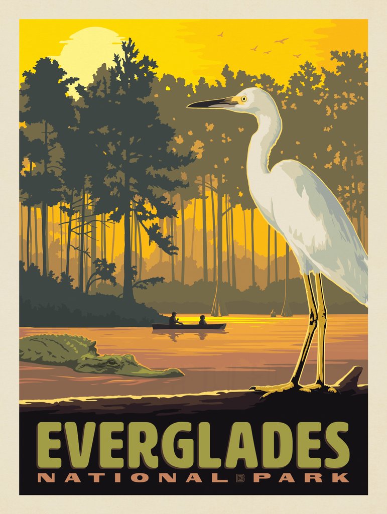 Everglades National Park: Sunset - Art Print - Artwork