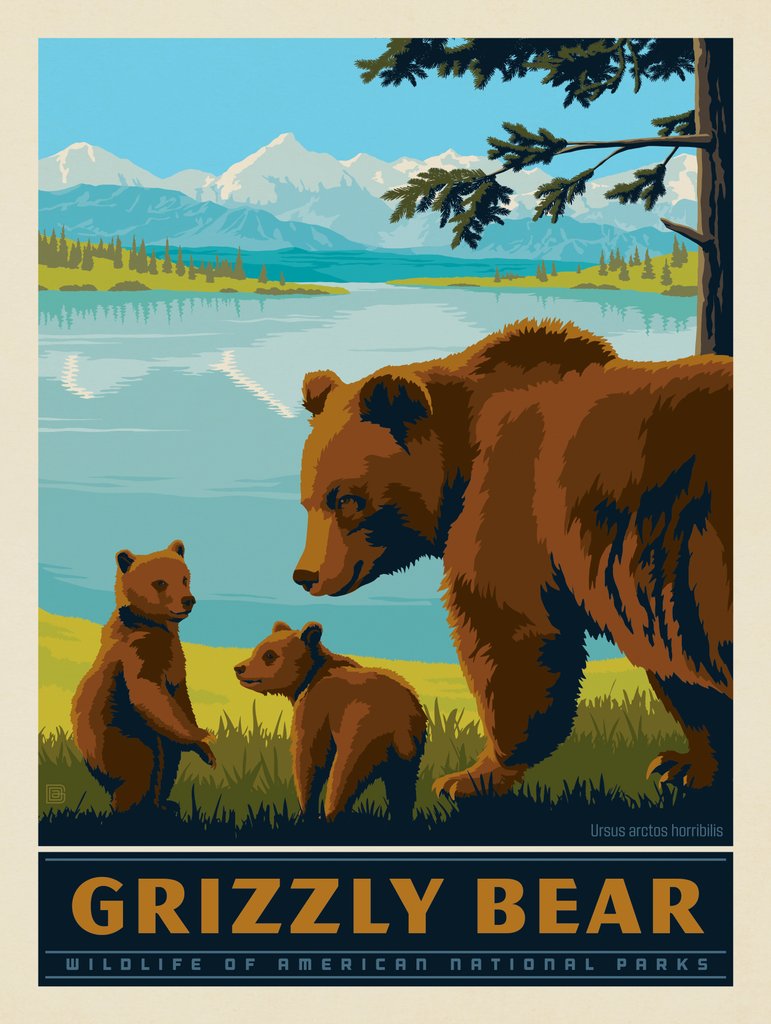 National Parks Wildlife: Grizzly Bear - Art Print - Artwork