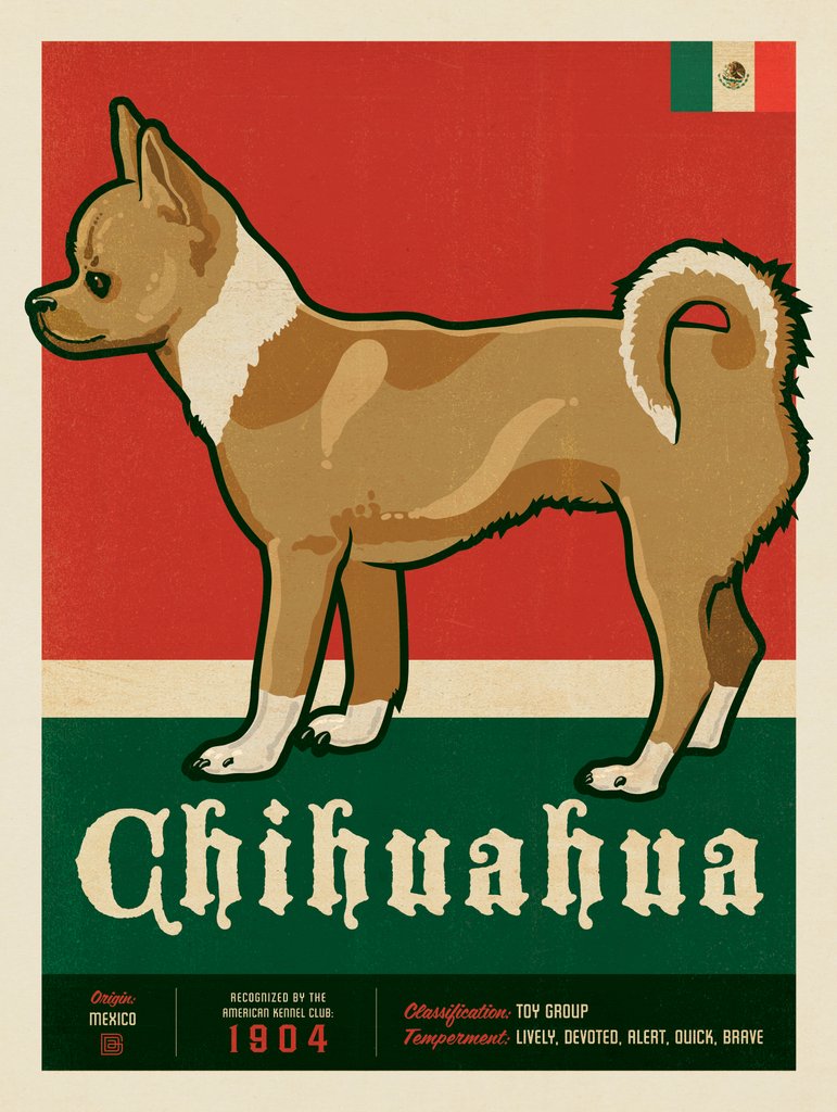 Chihuahua - Metal Sign - Artwork