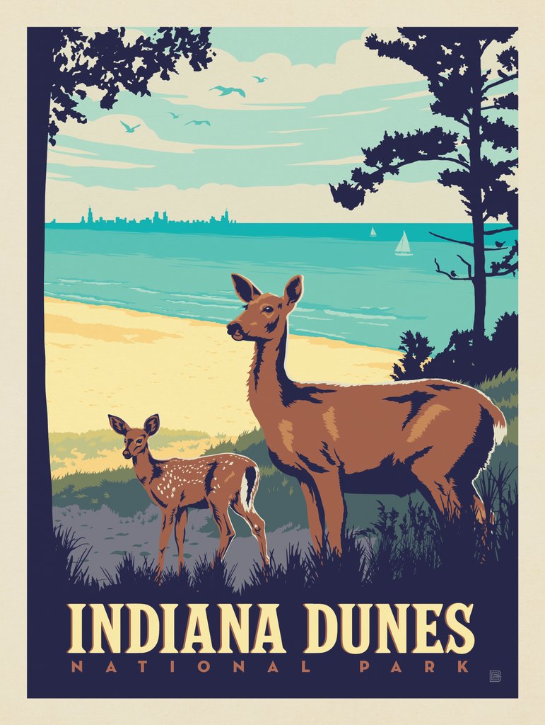 Indiana Dunes National Park: Deer - Notecards - Artwork