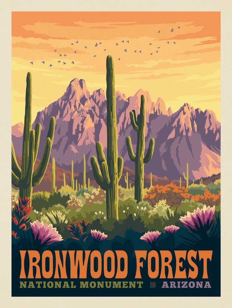 Ironwood Forest National Monument, Arizona - Notecards - Artwork