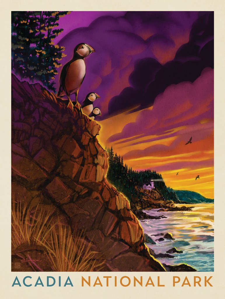 Acadia National Park: Puffin Perch - Metal Sign - Artwork