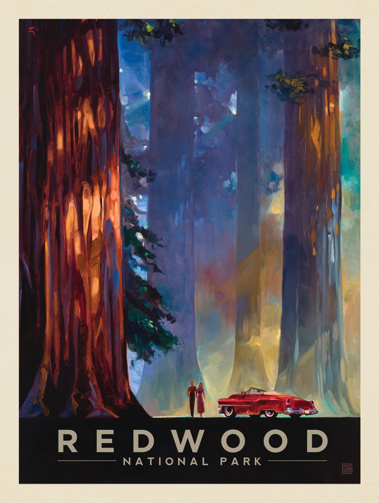 Redwood National Park: Among the Giants - Art Print - Artwork